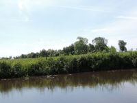 Sommerfest 2015 132